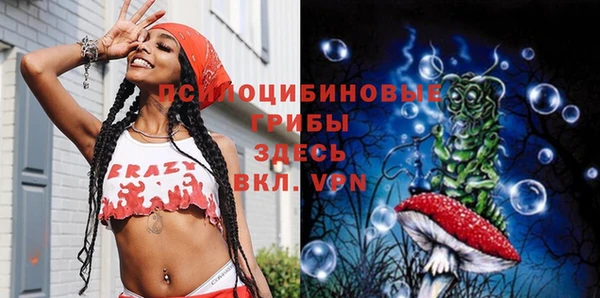 spice Абаза