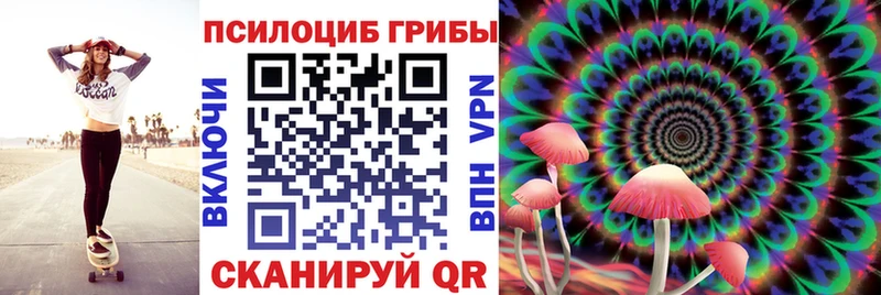 Псилоцибиновые грибы Psilocybine cubensis  Касимов 